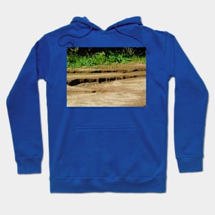 Holy ground Hoodie